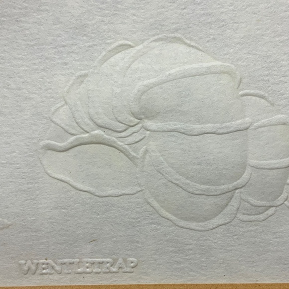 “Wentletraps Sea shells”. Framed embossed paper print. Vtg 1978 - Picture 3 of 4